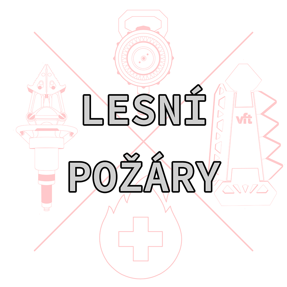 Workshop: Lesní požáry